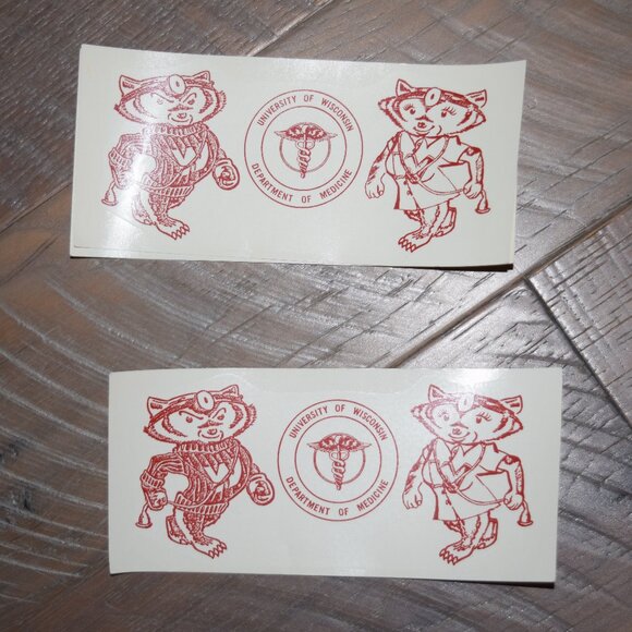 LOT Vtg University of Wisconsin Dept Medicine Bucky Badger Decal Sticker Pack - Picture 4 of 5